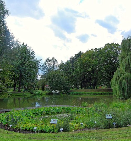 Ogrod_Botaniczny_UMCS_w_Lublinie_SZ-2014-08-23_02-1-1.jpg